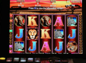 娱乐星空下载app正式版